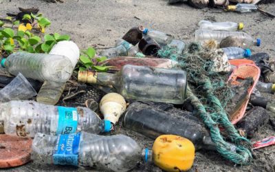 EU Adopts Ambitious Measures to Tackle Marine Plastic Litter